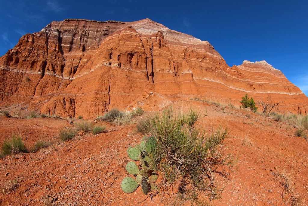 Red rock and cactus — Abilene