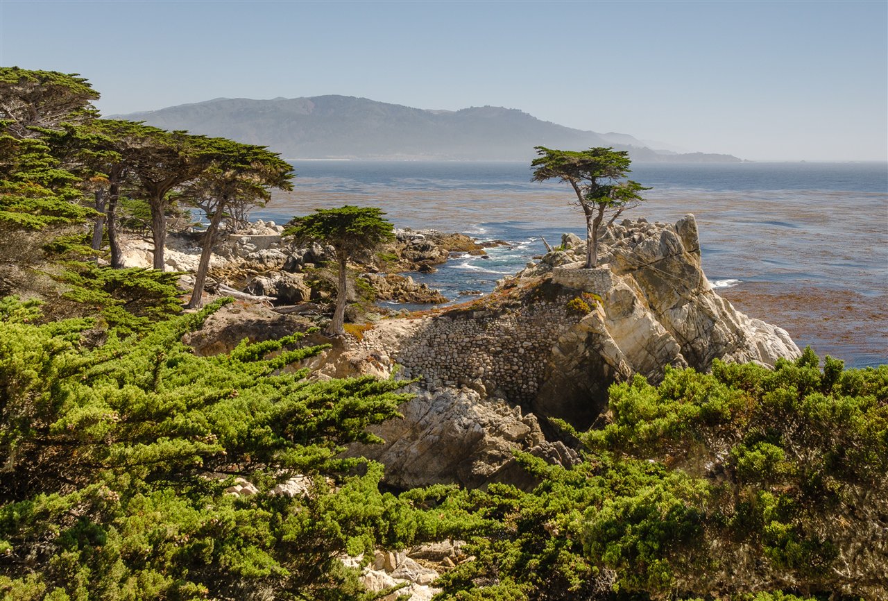 The Lone Cypress, 17-Mile Drive — Carmel-by-the-Sea