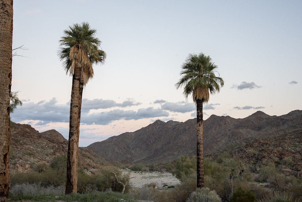 Indian Canyons — Palm Springs / Palm Desert