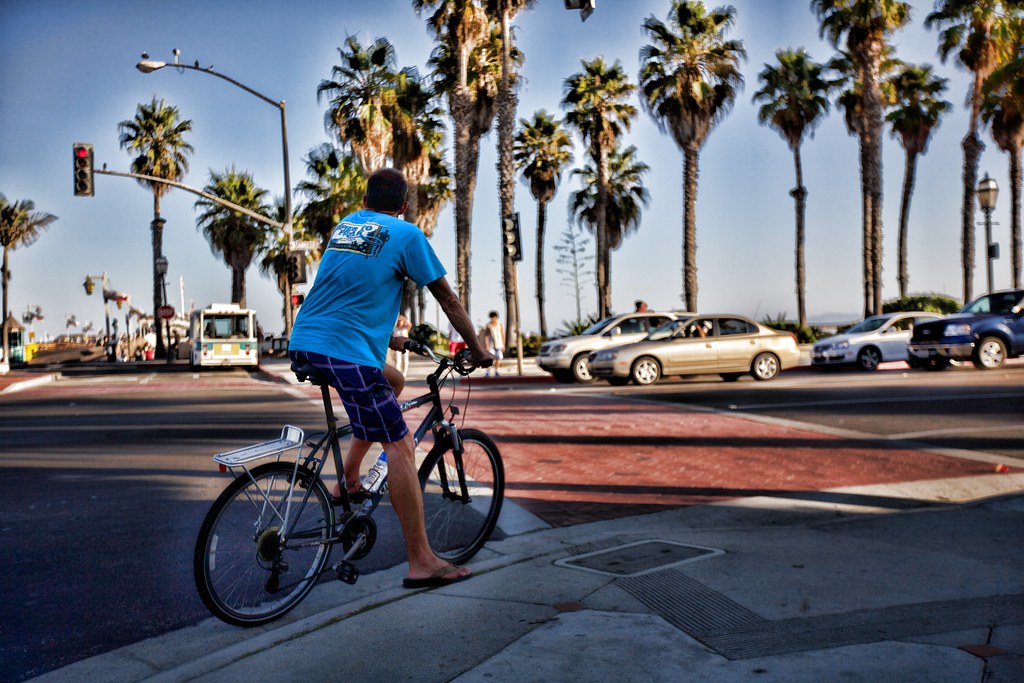 State Street palms — Santa Barbara