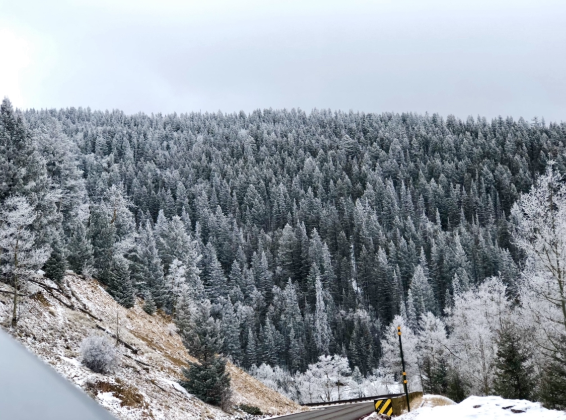 Snow on the ski hill — Santa Fe